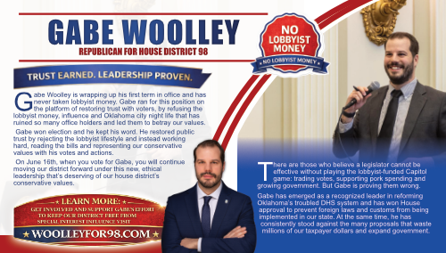 Gabe Woolley campaign guide preview